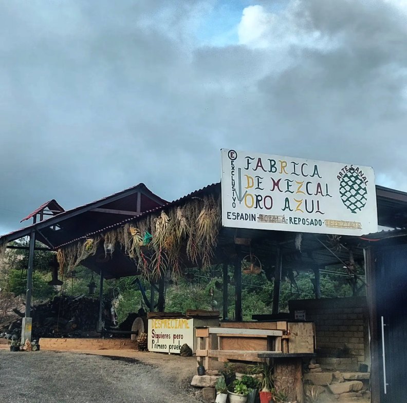 A stone tahona mill at a mezcal distillery